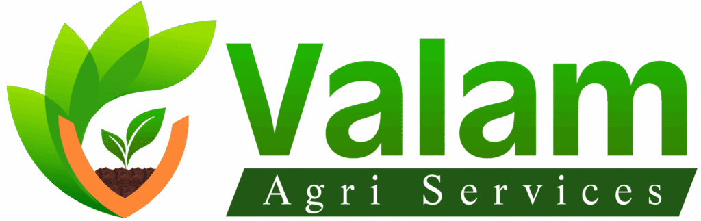 valam logo 1 1 1 scaled