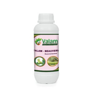 valam agri beauveria (3)